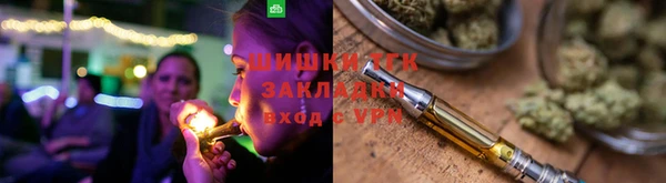 прущие грибы Болхов