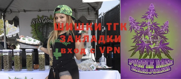 герыч Бронницы
