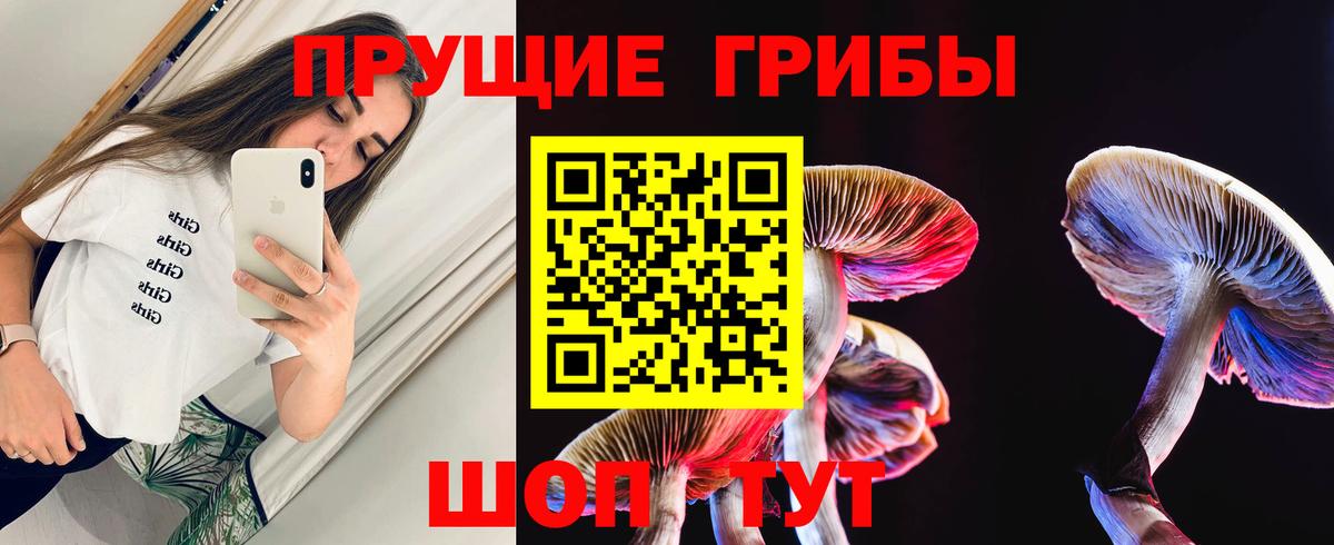 Галлюциногенные грибы MAGIC MUSHROOMS  Вход с VPN  Буйнакск 